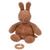 NATTOU Peluche Musicale Bonnie Le Lapin -NATTOU Magasin jo083008063